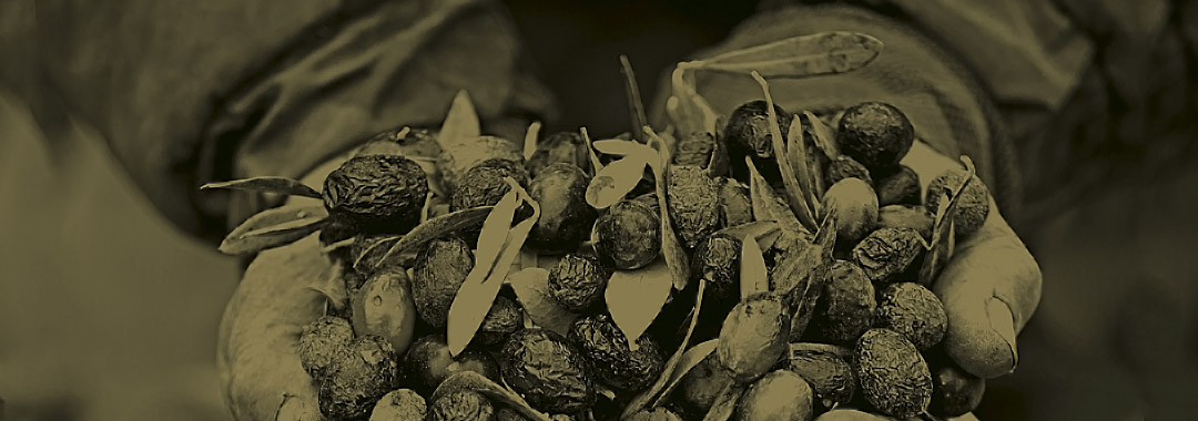gastronomía griega