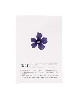 Flores secas de verbena azul comestibles - Neworks