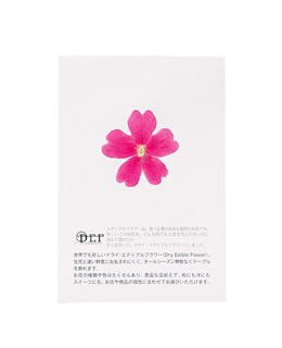Flores secas de verbena rosa comestibles - Neworks