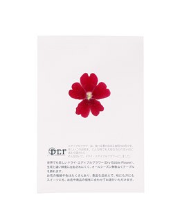 Flores secas de verbena roja comestibles - Neworks