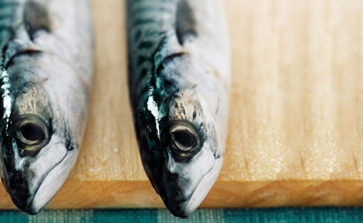 Filetes de caballa marinados con vino blanco y especias - La Belle-Iloise