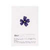 Flores secas de verbena azul comestibles - Neworks