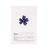 Flores secas de verbena azul comestibles - Neworks