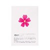 Flores secas de verbena rosa comestibles - Neworks