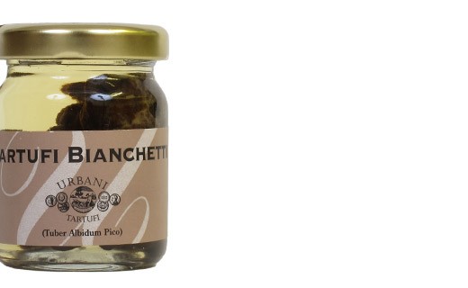 Trufas Bianchetti extra - Tartufi Urbani